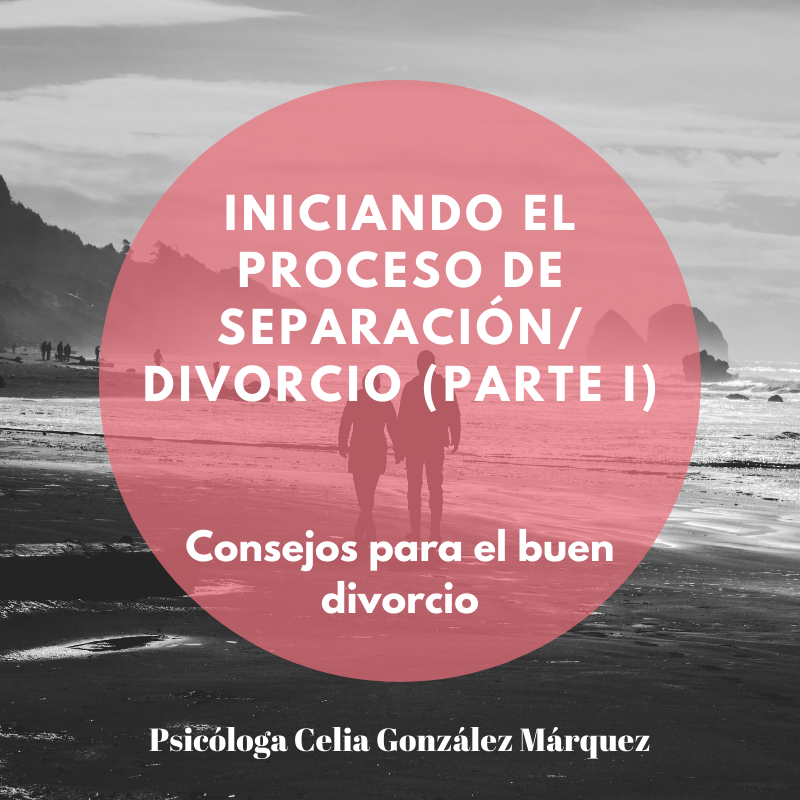 INICIANDO EL PROCESO DE SEPARACIÓN/DIVORCIO (Parte I)